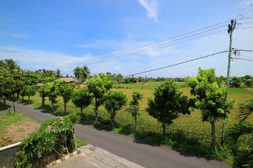GM Lovina image 38